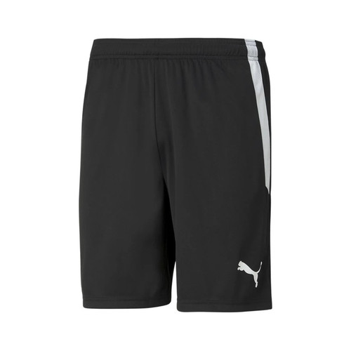 Puma teamliga shorts herren - puma,